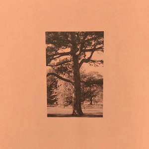 大奶饥渴一区二区
